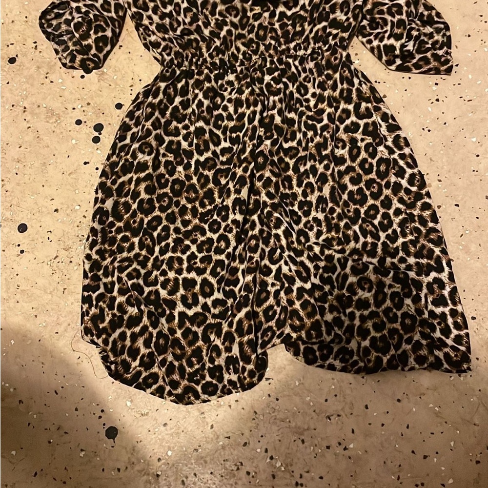 Leopard Print Dress